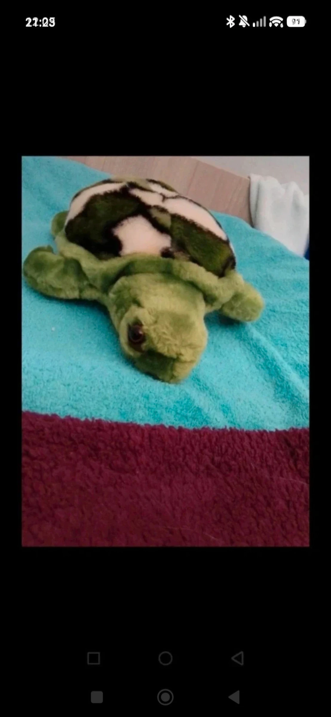 Peluche 